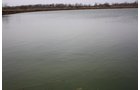 Property photo 20 - ABSOLUTE AUCTION - 298 Acres Offered in 4 Tracts
